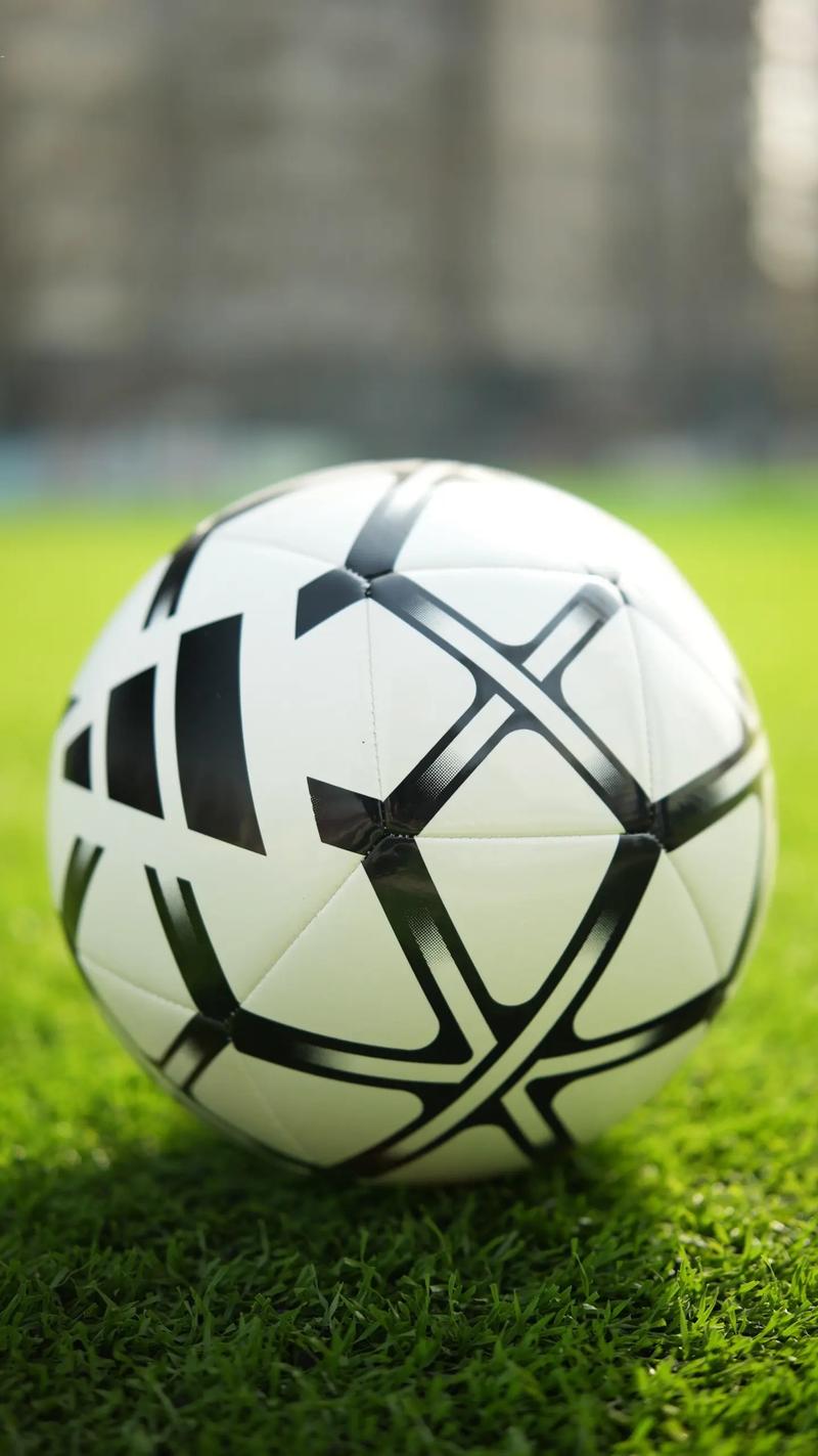 足彩官网比赛赛程应用界面展示